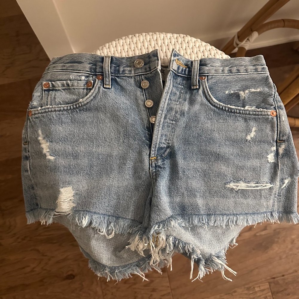 AGOLDE Parker Vintage Cutoff Shorts